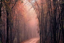 [举重]丁红杰获得男子61公斤级总成绩金牌.