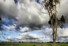 mk体育官网：雷迪克：不惊讶我们本场的拼搏劲头 我和教练组都信任队员们.