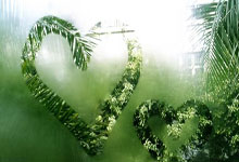 [图]段刘愚破门阿齐兹闪击 青岛西海岸2-0武汉三镇.